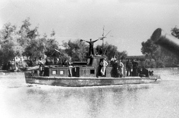 msv216a.jpg